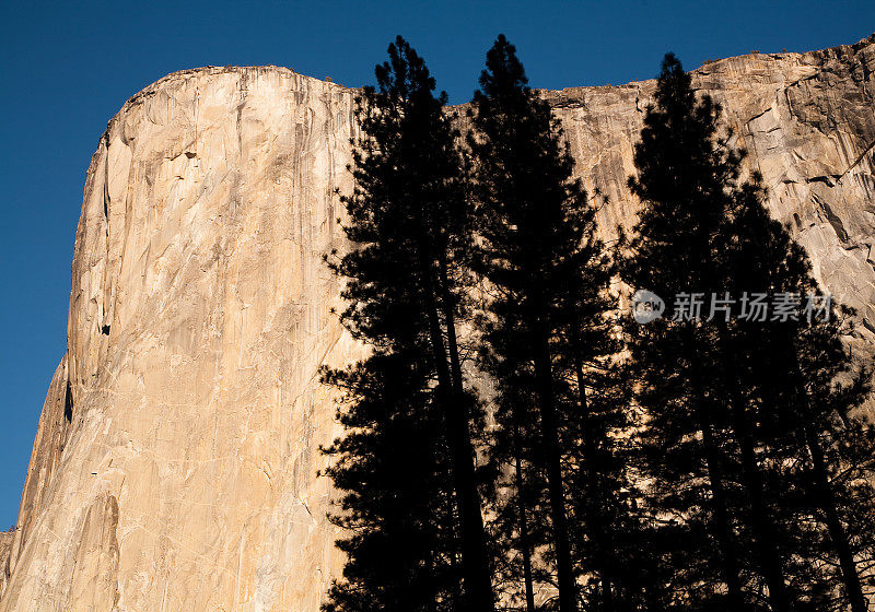 El Capitan和树的剪影